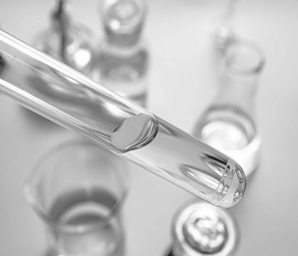 抗體、蛋白標記